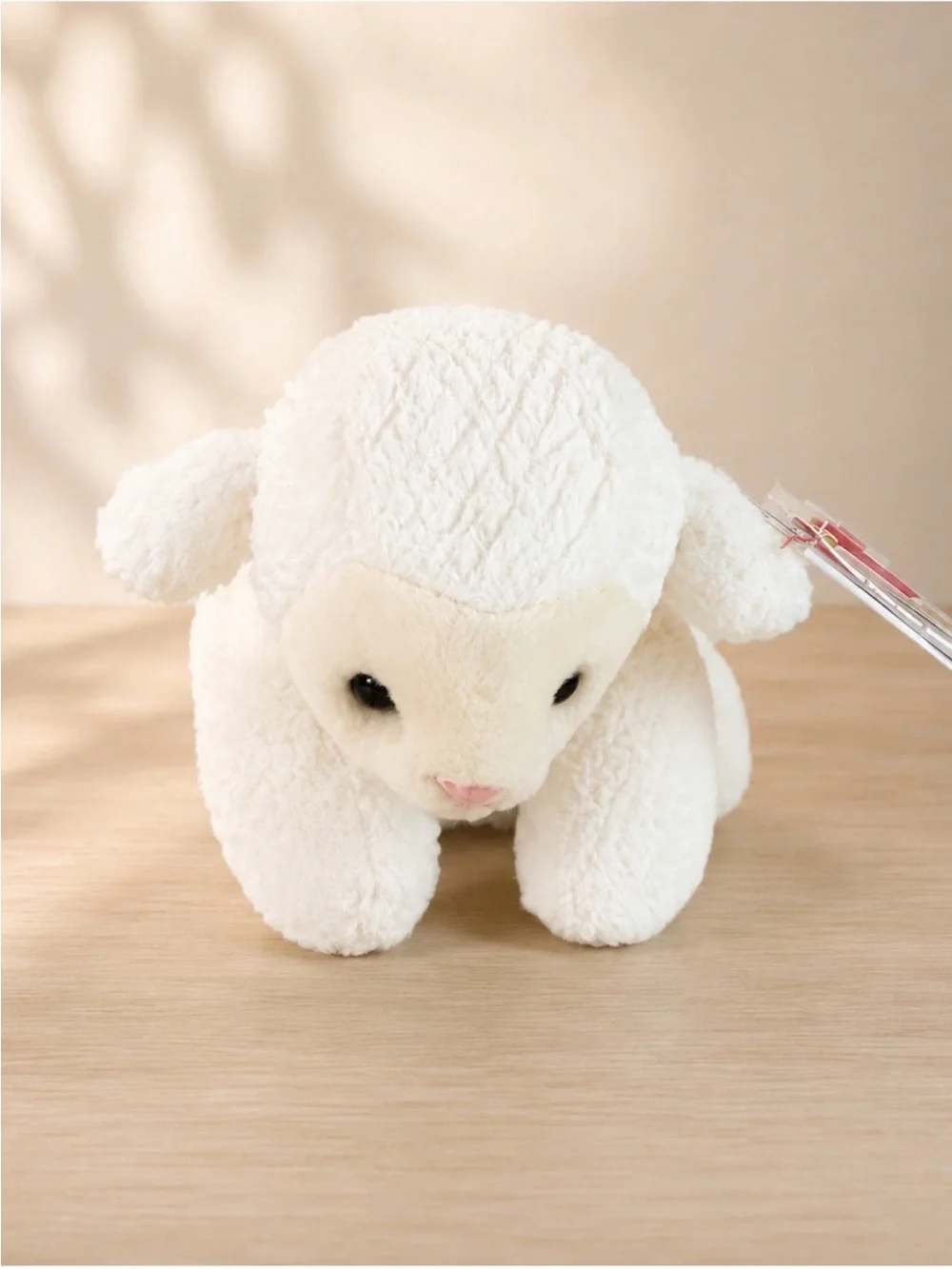 5 TY Beanie Babies 2-Curly, Holy Father, Beanie Babies 2.0 Skunk & Lamb – NWTS